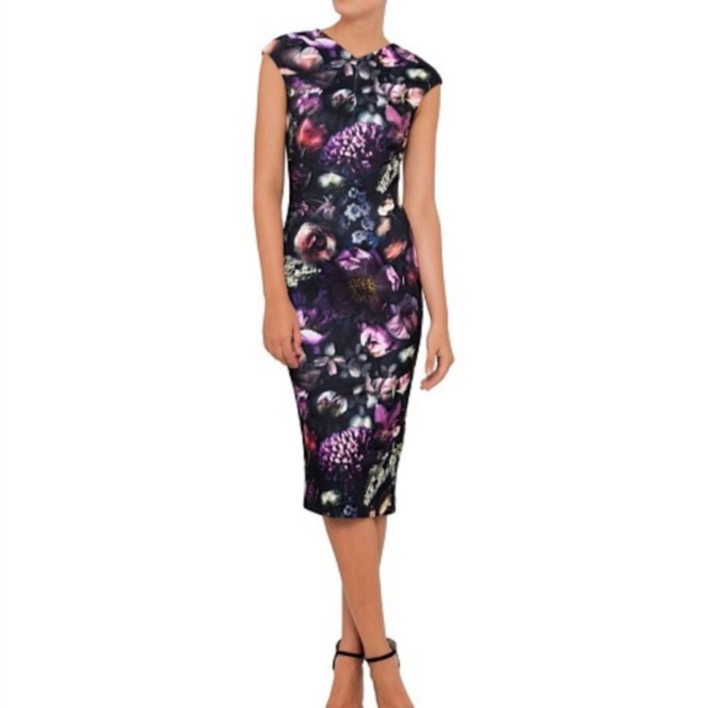 Ted Baker Raisie Floral Midi Bodycon Dress, Size 3